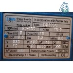 پمپ ۳ اسب ۳ اینچ تکفاز دبی بالا دیزلساز ایرانی DS300/3 DISELSAZ - Image 2