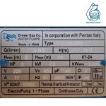 پمپ ۲ اینچ ۳ اسب ارتفاع بالای دیزلساز تکفاز ایرانی DH300 DISELSAZ - Image 2