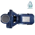 پمپ ۱ اسب ۲ اینچ دیزلساز ایرانی تکفاز  DS100/2 DISELSAZ - Image 2