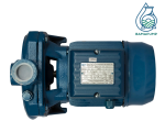 پمپ ۱ اسب بشقابی دیزلساز ایرانی تکفاز DM100/00 DISELSAZ - Image 3